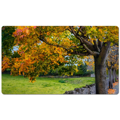 Desk Mat - Autumn Tree at Kildysart, County Clare - James A. Truett - Moods of Ireland - Irish Art