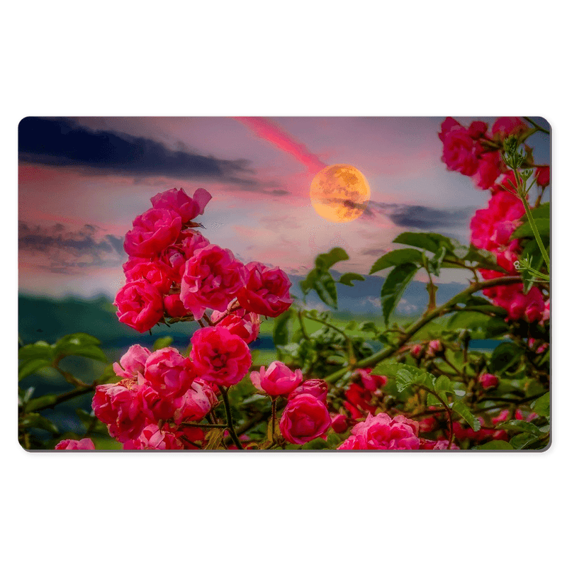 Desk Mat - Wild Irish Roses at Dawn, County Clare - James A. Truett - Moods of Ireland - Irish Art