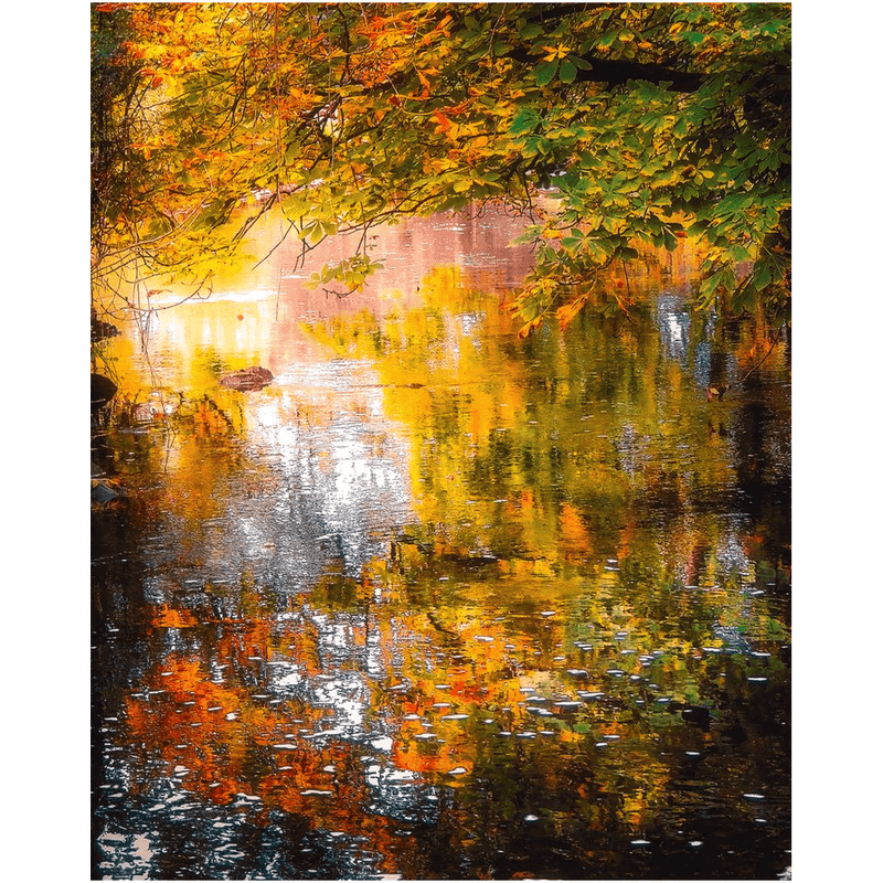 Print - Shimmering Irish Autumn, County Galway - Moods of Ireland