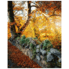 Print - Roadside Autumn Colours, County Clare - Moods of Ireland