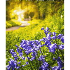 Shower Curtain - Irish Bluebells in Spring Sun, County Clare - James A. Truett - Moods of Ireland - Irish Art