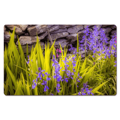 Desk Mat - Spring Bluebells and Stone Fence, County Clare - James A. Truett - Moods of Ireland - Irish Art