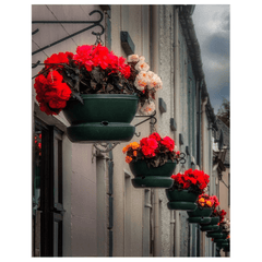 Print - Hanging Baskets of Clarecastle, County Clare - James A. Truett - Moods of Ireland - Irish Art