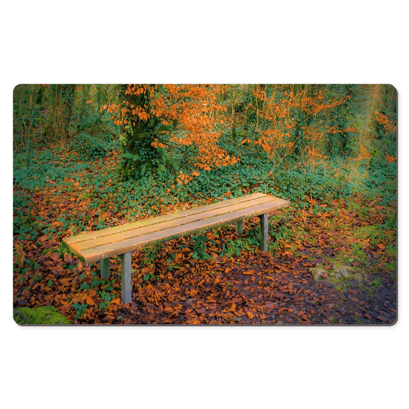 Desk Mat - Bench at Dromore Wood in Autumn - James A. Truett - Moods of Ireland - Irish Art