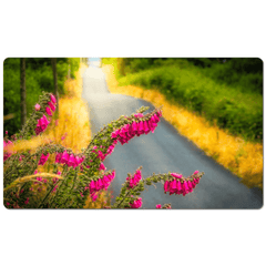 Desk Mat - Fairy Thimbles on the Road to Lissycasey, County Clare - James A. Truett - Moods of Ireland - Irish Art