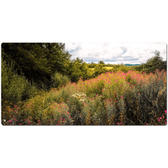 Desk Mat - Great Willowherb Wildflower Explosion, County Clare - James A. Truett - Moods of Ireland - Irish Art