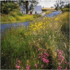 Shower Curtain - Summer Wildflowers near Kildysart, County Clare - James A. Truett - Moods of Ireland - Irish Art