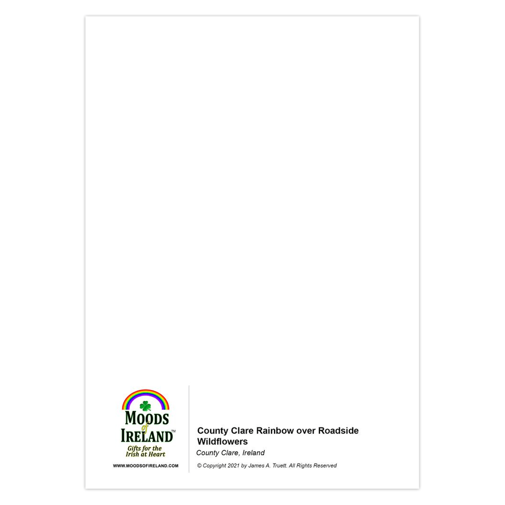 Folded Note Cards - County Clare Rainbow over Roadside Wildflowers - James A. Truett - Moods of Ireland - Irish Art