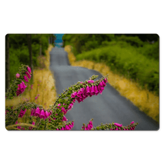 Desk Mat - Fairy Thimbles on the Road to Lissycasey, County Clare - James A. Truett - Moods of Ireland - Irish Art