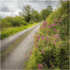 Shower Curtain - County Clare Country Road at Gortglass Lough - James A. Truett - Moods of Ireland - Irish Art