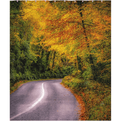 Shower Curtain - Rural Irish Road under Autumn Canopy, County Clare - James A. Truett - Moods of Ireland - Irish Art