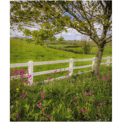 Shower Curtain - Ballynacally Wildflower Vista - James A. Truett - Moods of Ireland - Irish Art