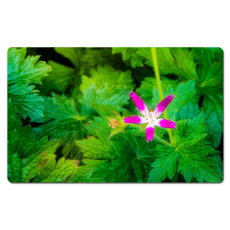 Desk Mat - Wildflower in Greenery, Tulla, County Clare - James A. Truett - Moods of Ireland - Irish Art