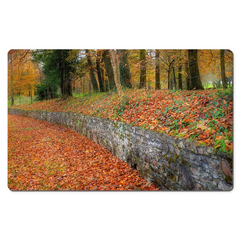 Desk Mat - Autumn Colours in Killimer, County Clare - James A. Truett - Moods of Ireland - Irish Art