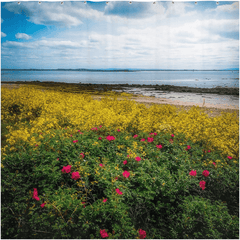 Shower Curtain - Summer Wildflowers on Galway Bay - James A. Truett - Moods of Ireland - Irish Art