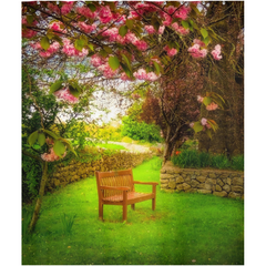 Shower Curtain - Bench under Cherry Blossoms, Quin, County Clare - James A. Truett - Moods of Ireland - Irish Art