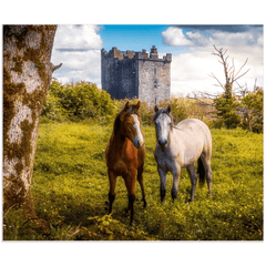 Print - Horses at Ballynagowan Castle, County Clare - James A. Truett - Moods of Ireland - Irish Art
