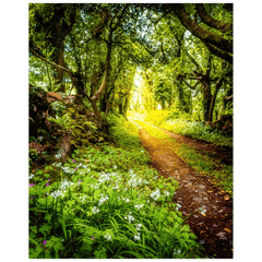 Print - County Clare path lined with Wild Garlic and Wildflowers - James A. Truett - Moods of Ireland - Irish Art