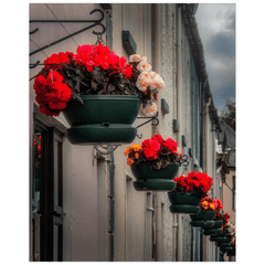 Print - Hanging Baskets of Clarecastle, County Clare - James A. Truett - Moods of Ireland - Irish Art