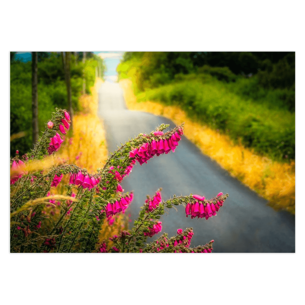 Folded Note Cards - Fairy Thimbles on the Road to Lissycasey, County Clare - James A. Truett - Moods of Ireland - Irish Art