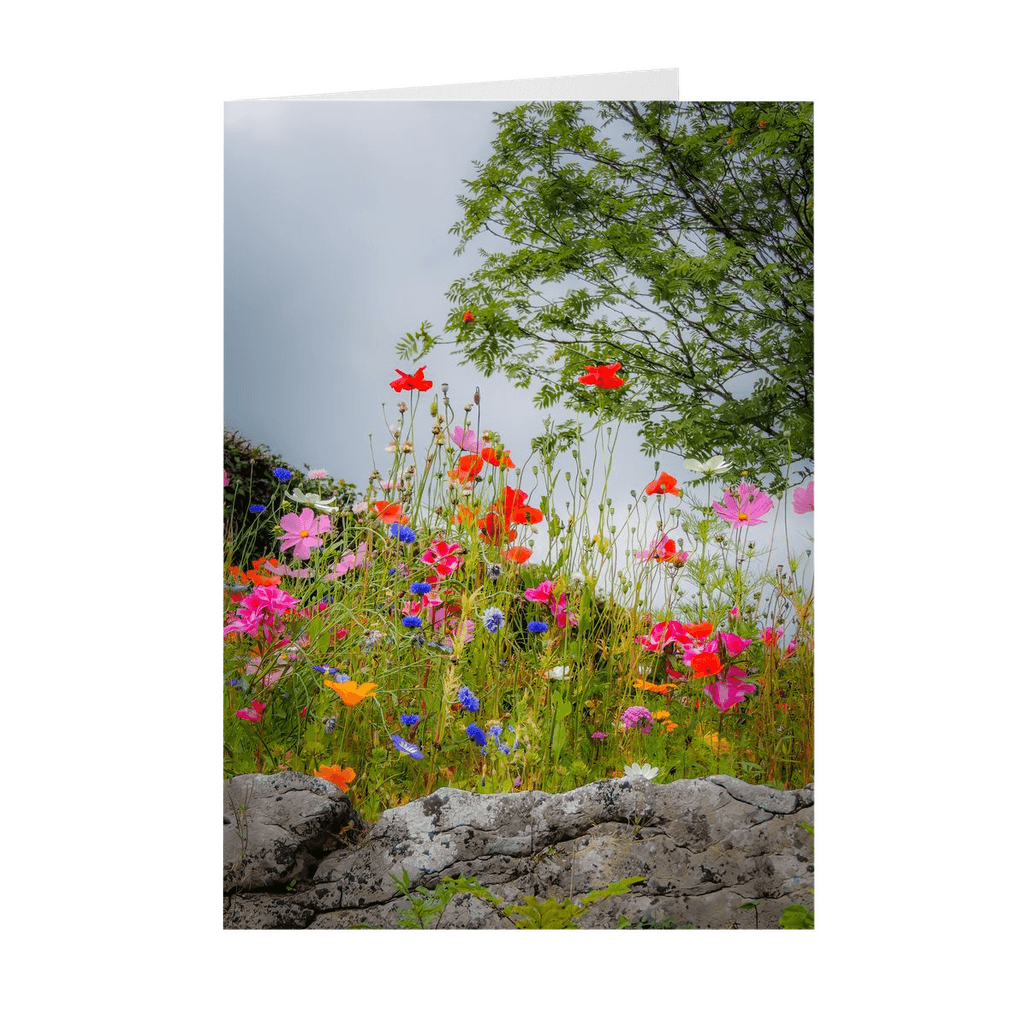 Folded Note Cards - Wildflowers in Limestone Bed, County Clare - James A. Truett - Moods of Ireland - Irish Art