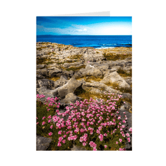 Folded Note Cards - Sea Pinks Blooming in the Burren Limestone, County Clare - James A. Truett - Moods of Ireland - Irish Art