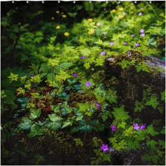 Shower Curtain - A Carpet of Herb Robert Wildflowers, Ballylee, County Galway - James A. Truett - Moods of Ireland - Irish Art