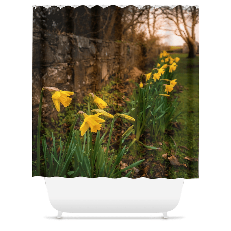 Shower Curtain - Spring Daffodils, Kilrush, County Clare - James A. Truett - Moods of Ireland - Irish Art