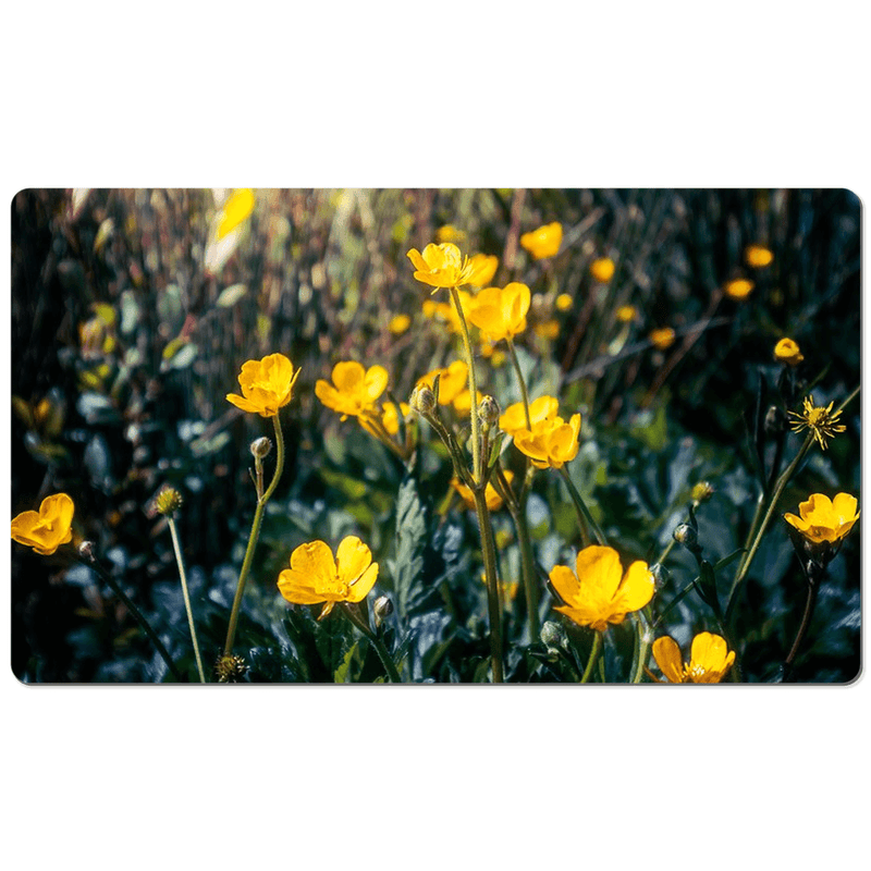 Desk Mat - Buttercups in the Irish Countryside - James A. Truett - Moods of Ireland - Irish Art