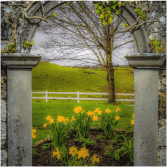 Shower Curtain - Irish Spring in Ballynacally, County Clare - James A. Truett - Moods of Ireland - Irish Art