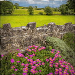 Shower Curtain - Flowers and Meadow, Kildysart, County Clare - James A. Truett - Moods of Ireland - Irish Art