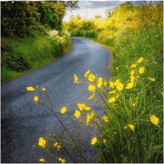 Shower Curtain - Buttercups on the Road to Lavalla, County Clare - James A. Truett - Moods of Ireland - Irish Art