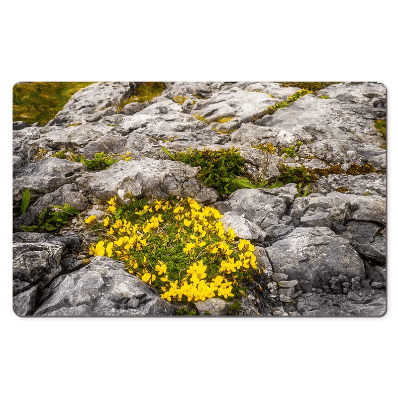 Desk Mat - Gorse in the Rugged Burren Limestone - James A. Truett - Moods of Ireland - Irish Art