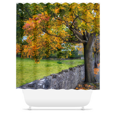 Shower Curtain - Autumn Tree at Kildysart, County Clare - James A. Truett - Moods of Ireland - Irish Art