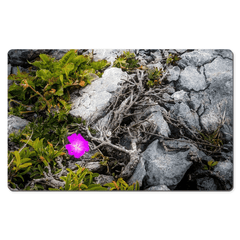 Desk Mat - Lone Wildflower in the Burren Limestone - James A. Truett - Moods of Ireland - Irish Art