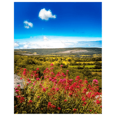 Print - Summer Burren Vista from Aillwee Cave, County Clare - James A. Truett - Moods of Ireland - Irish Art