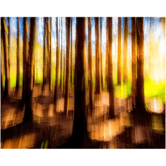 Print - Sun through the Woods Abstract, County Clare - James A. Truett - Moods of Ireland - Irish Art