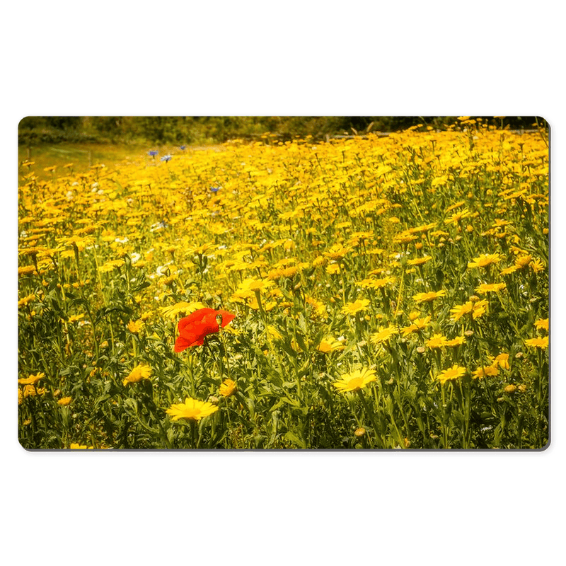 Desk Mat - Red Poppy in Yellow Wildflower Meadow, Ballynacally, County Clare - James A. Truett - Moods of Ireland - Irish Art