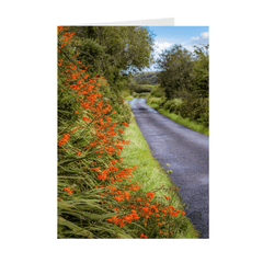 Folded Note Cards - Orange Wildflower Cascade along Irish Country Road - James A. Truett - Moods of Ireland - Irish Art