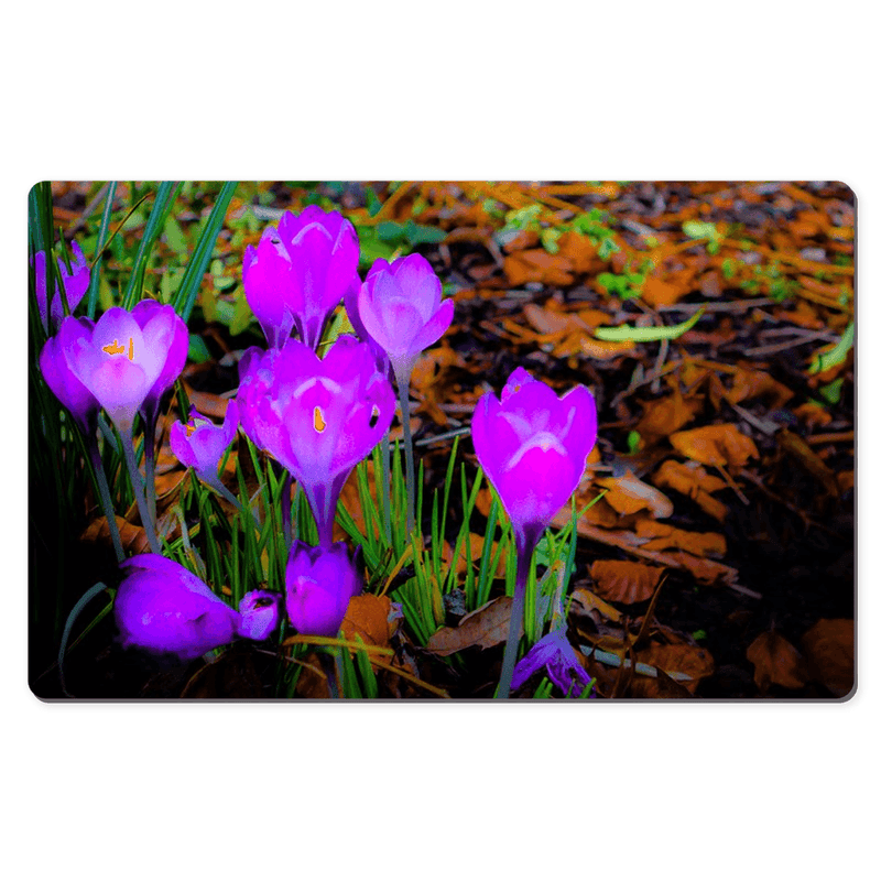 Desk Mat - Rebirth of Irish Spring Wildflowers - James A. Truett - Moods of Ireland - Irish Art