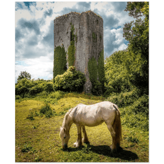 Print - Ballygriffy Castle, County Clare - James A. Truett - Moods of Ireland - Irish Art
