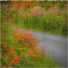 Shower Curtain - Magical Irish Wildflower Garden - James A. Truett - Moods of Ireland - Irish Art