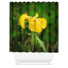 Shower Curtain - Fabulous Irish Flag Iris (Feileastram) Wildflowers, County Clare - James A. Truett - Moods of Ireland - Irish Art