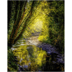 Print - Sunrays through Canopy over Owenslieve River, County Clare - James A. Truett - Moods of Ireland - Irish Art