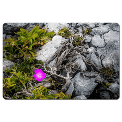 Desk Mat - Lone Wildflower in the Burren Limestone - James A. Truett - Moods of Ireland - Irish Art