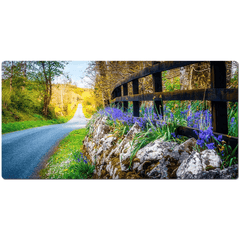 Desk Mat - Bluebell-lined County Clare Road - James A. Truett - Moods of Ireland - Irish Art