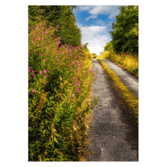 Folded Note Cards - Roadside Wildflowers at Kilkerin Point, County Clare - Moods of Ireland