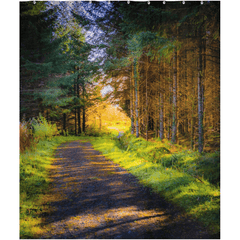 Shower Curtain - Sunlit path in County Clare - James A. Truett - Moods of Ireland - Irish Art