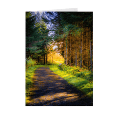 Folded Note Cards - Sunlit path in County Clare - James A. Truett - Moods of Ireland - Irish Art