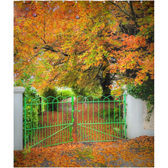 Shower Curtain - Green Gate in Autumn, County Clare - James A. Truett - Moods of Ireland - Irish Art